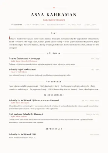 Tekniker ve Teknisyen Cv Örnekleri cv indir